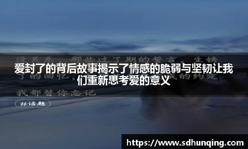 非凡娱乐网站