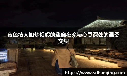 夜色撩人如梦幻般的迷离夜晚与心灵深处的温柔交织