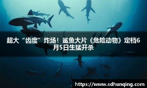 非凡娱乐